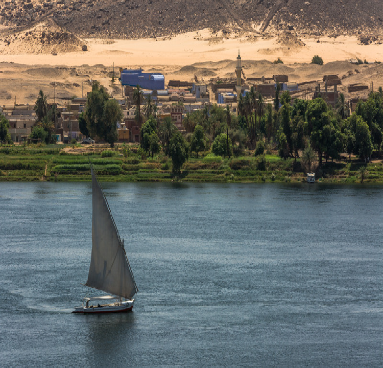 Nile Dinner Cruise: Evening Sailing with Dinner and Live Entertainment